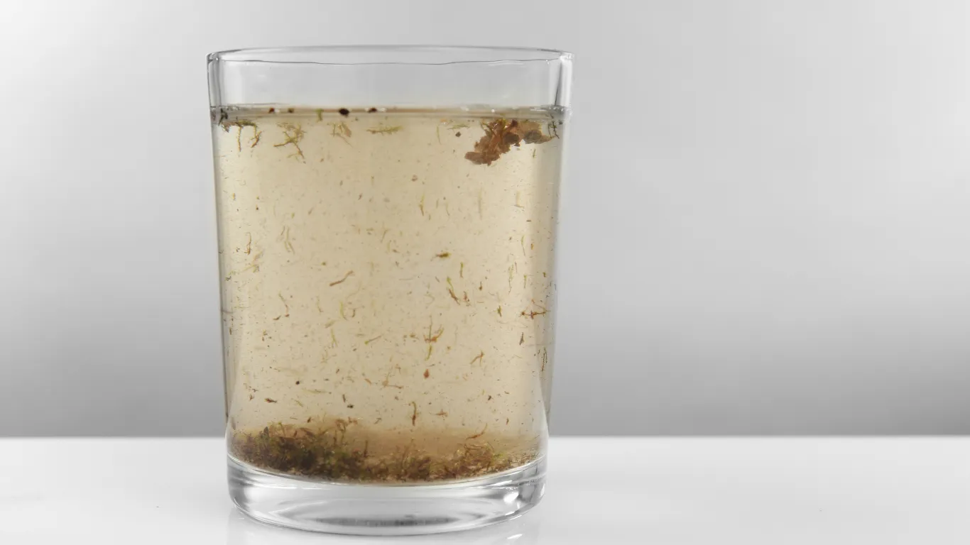 Our Water Filtration Services