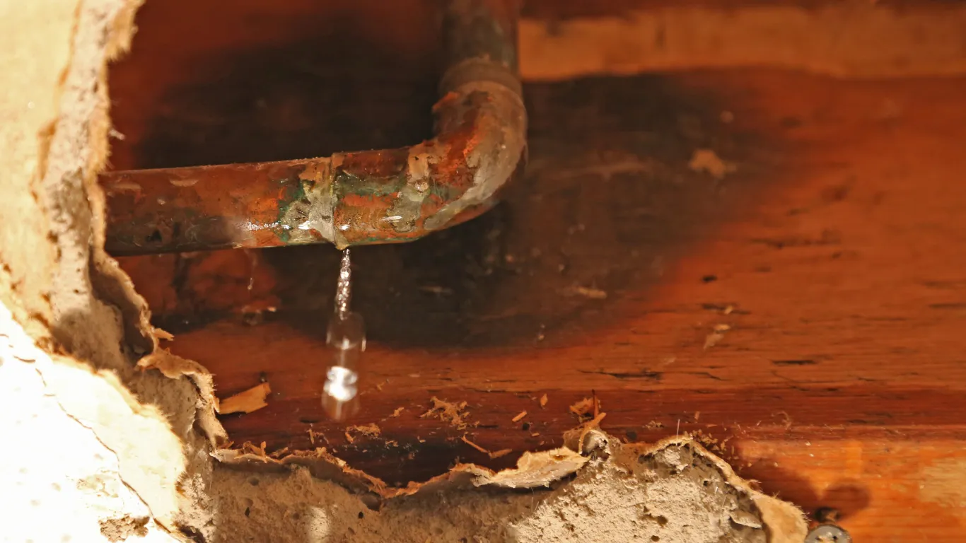 Why Choose Pacific Rivers Plumbing